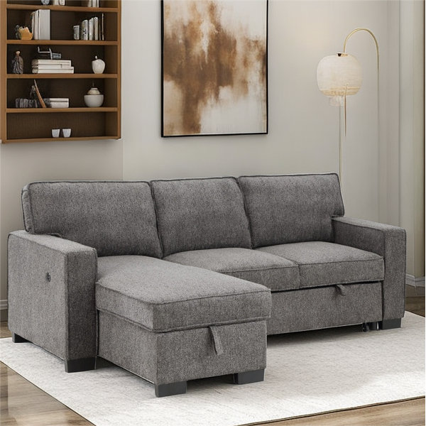 Latitude Run Minetta Reversible Sleeper Sectional with Storage